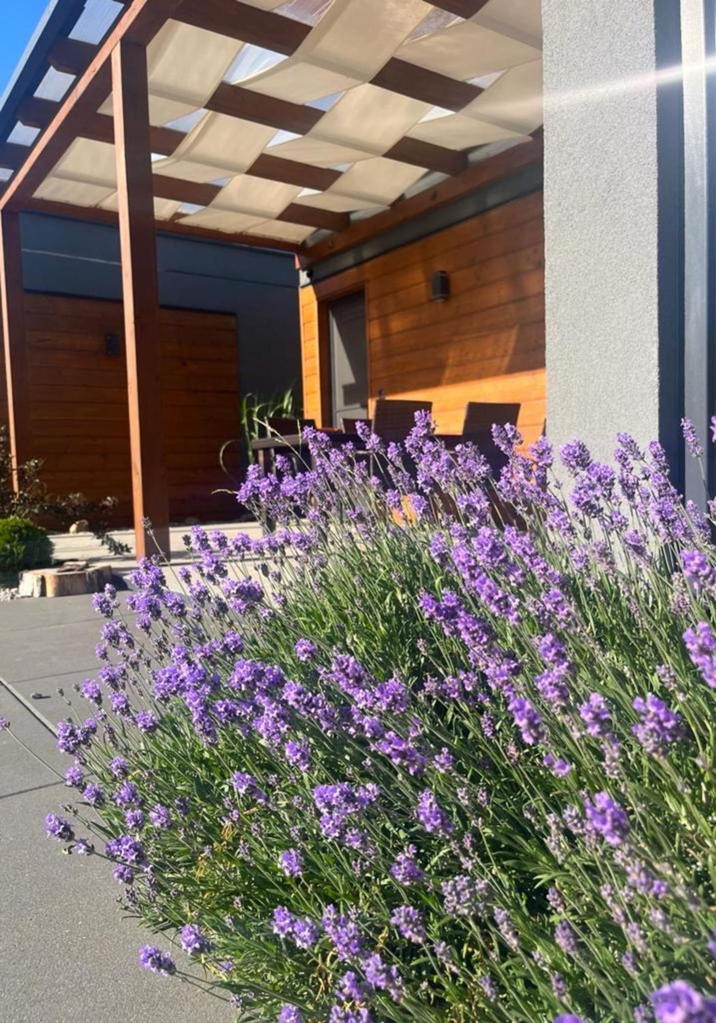Cisza Bungalows Village / Blisko Natury Nowecin Eksteriør bilde