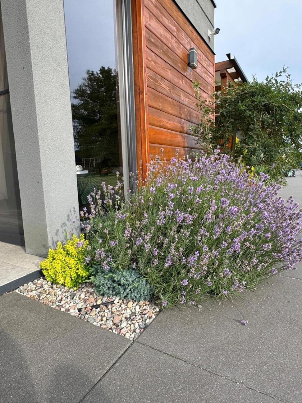 Cisza Bungalows Village / Blisko Natury Nowecin Eksteriør bilde